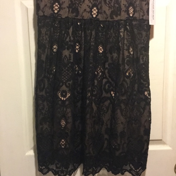 Black Lace-Eva Mendes Collection Dress - Picture 7 of 8